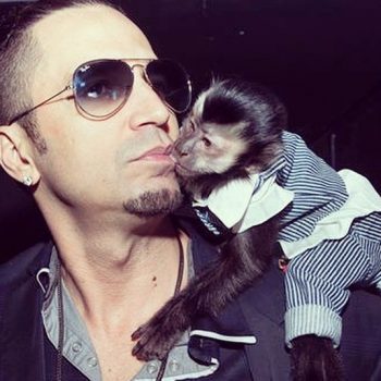 Twelves, macaco de Latino, morre atropelado no Rio de Janeiro