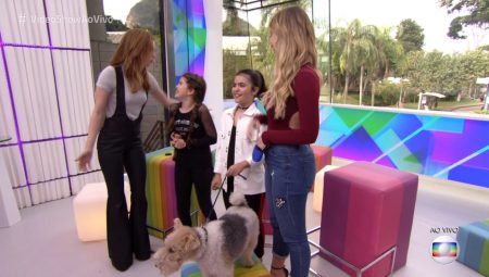 Atriz de “O Tempo Não Para” fala em “anestesia” em cachorro e revolta a web