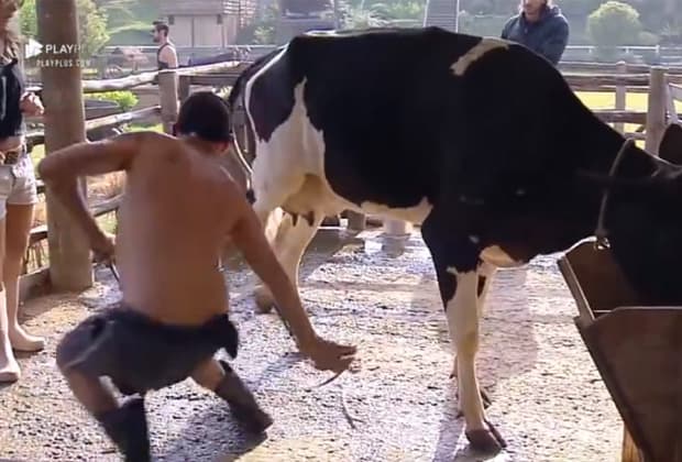 A Fazenda 10: Rafael Ilha toma coice de vaca durante tarefa