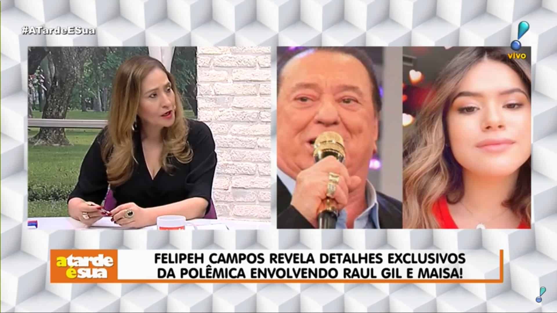 Sonia Abrão, Thiago Rocha e Felipeh Campos saem em defesa de Raul Gil depois de falso áudio