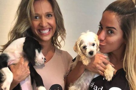 Anitta se sensibiliza com apelo de Luisa Mell e toma decisão