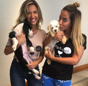 Após resgate de animais, Luisa Mell agradece Anitta