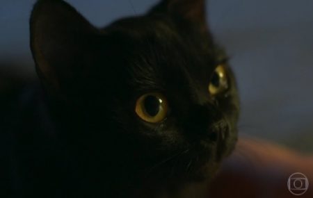 “O Sétimo Guardião”: León é levado até a fonte e volta a viver