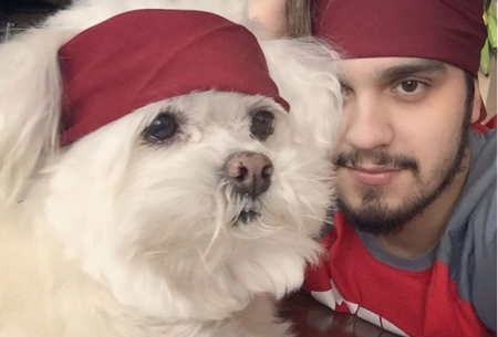 Luan Santana comove seguidores ao relatar acidente com cãozinho