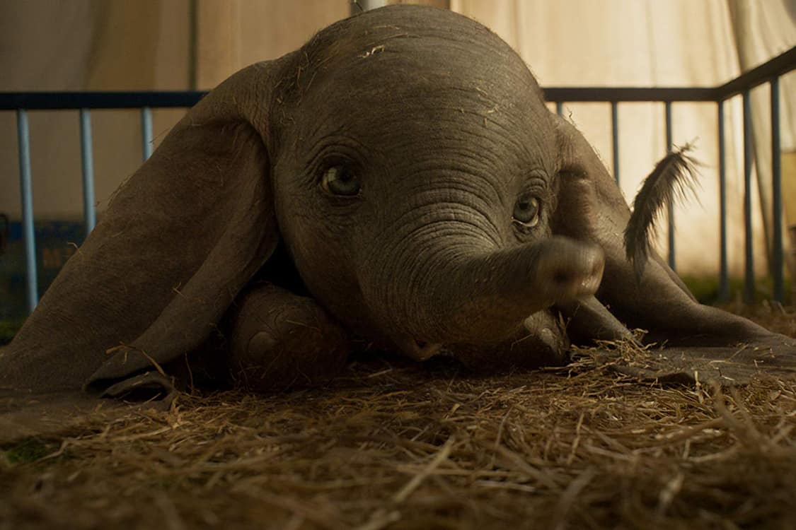 Trailer de “Dumbo” agita a web com tamanha fofura