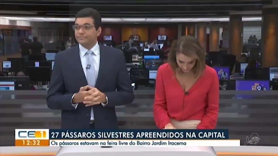 Jornalistas da Globo caem na gargalhada durante jornal ao vivo