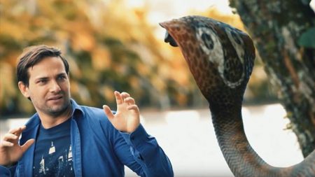 Fabíola Reipert no SBT? Emissora divulga “cobra” e anuncia novidade