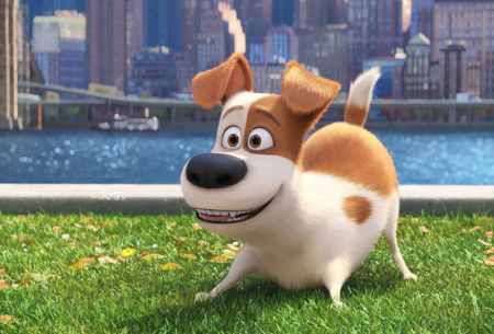 SBT chega à liderança de audiência com “Pets” na “Tela de Sucessos”