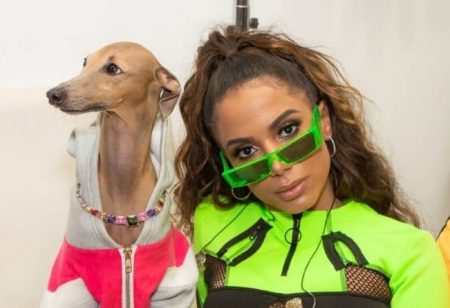 Anitta se defende após ser criticada por levar cão em premiação