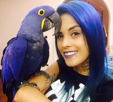 Tati Zaqui impressiona seguidores com “ensaio super azul”