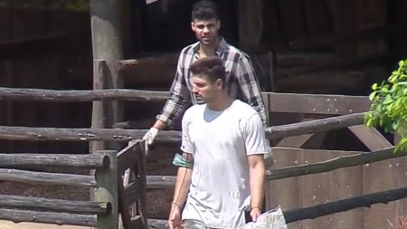 A Fazenda 2019: Peões escutam outro carro de som com nova mensagem