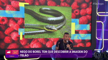 Atitude do Se Joga faz Nego do Borel abandonar programa e web detona