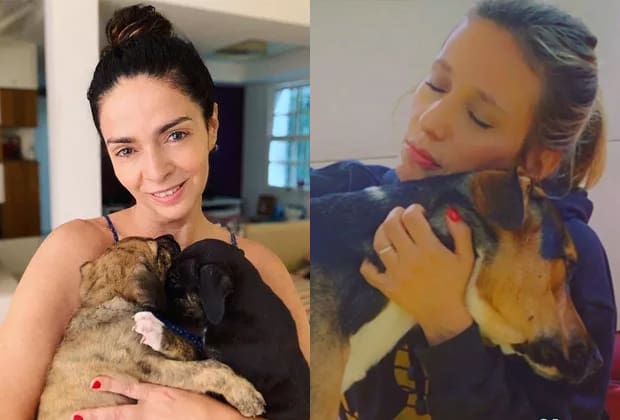 Luisa Mell critica Claudia Ohana por atitude com cachorros adotados