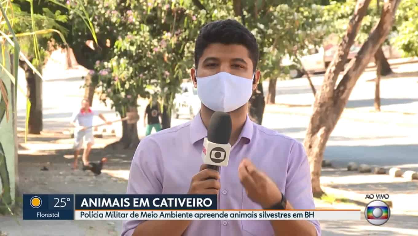 Homem aparece correndo atrás de galinha ao vivo na Globo