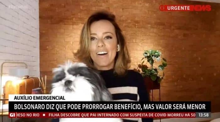 Cachorros invadem programa da GloboNews e causam saia justa ao vivo