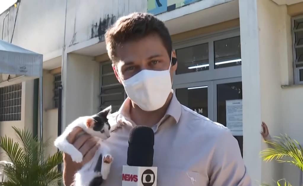 Gatinho assusta repórter da Globo ao vivo com “ataque” inesperado