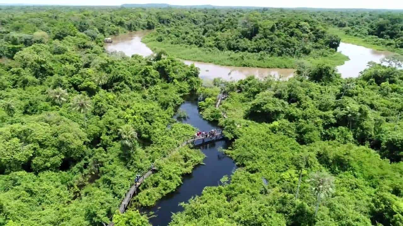 Globo envia equipe para o Pantanal em busca de regiões preservadas para gravações