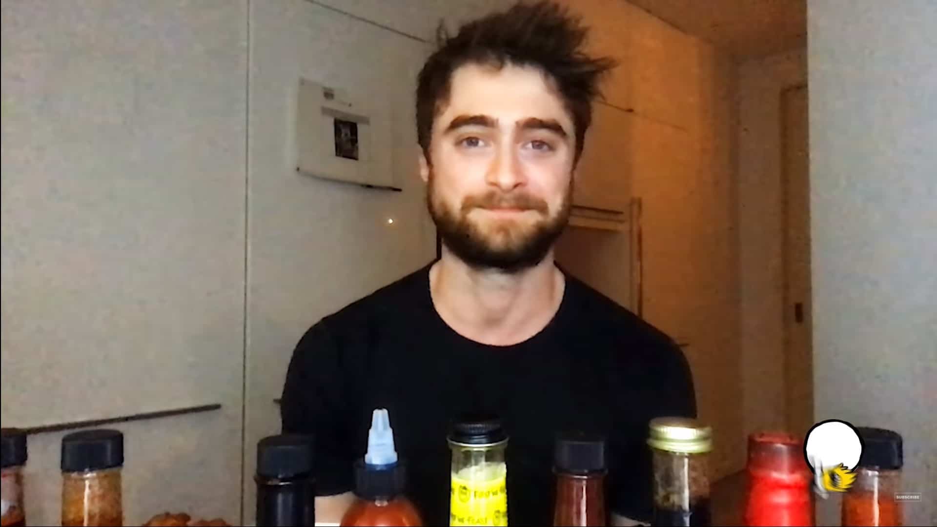 Daniel Radcliffe lembra fato curioso envolvendo macaco nas gravações de Harry Potter