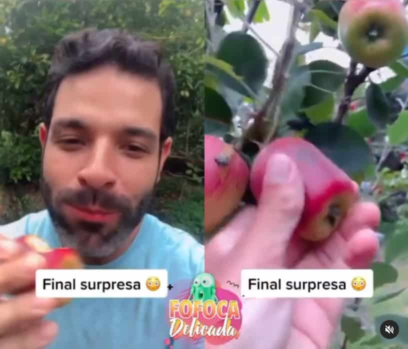 Jornalista do SBT, Darlisson Dutra vira meme ao comer maçã podre; assista