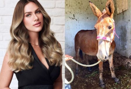 Giovanna Ewbank surpreende ao adotar burro que sofria maus-tratos