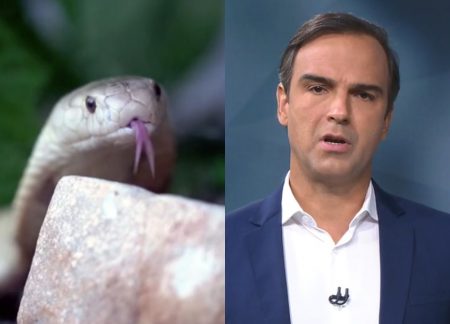 Globo comete erro e Justiça do DF manda canal retirar reportagem do ar