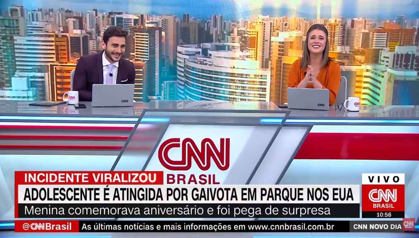 Gaivota suicida faz dupla da CNN Brasil cair na gargalhada durante telejornal