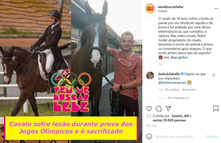 Cavalo sofre lesão durante prova dos Jogos Olímpicos e é