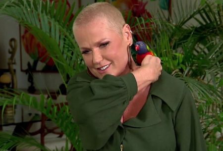 Mansão de Xuxa Meneghel é vendida por R$ 45 milhões para cantora