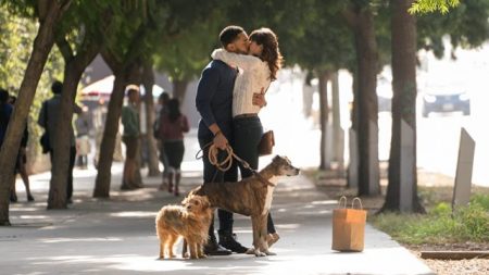 Filme da Sessão da Tarde de Segunda (06/09): Nossa Vida Com Cães