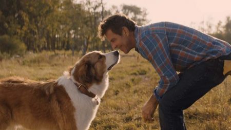 Filme da Tela Quente de Segunda (03/01): Juntos Para Sempre