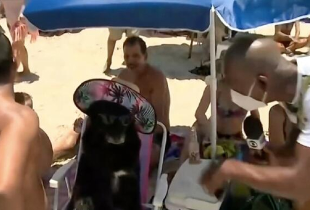Globo “entrevista” cachorra de óculos e chapéu em telejornal e dá o que falar
