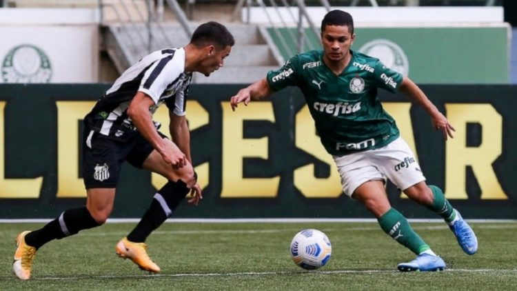 Palmeiras x Santos ao vivo: onde assistir ao jogo do Brasileirão online