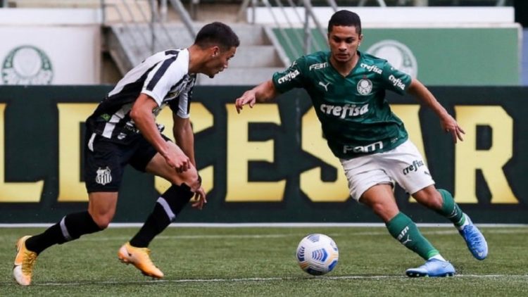 Santos x Palmeiras ao vivo: como assistir online de graça pela Globo ao  jogo do Brasileirão