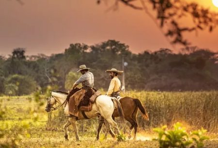 Autor, diretor e elenco de Pantanal falam sobre os encantos da região