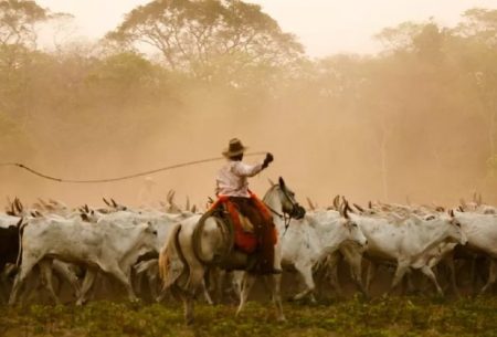 Equipe de Pantanal embarca para gravar últimas cenas e revela curiosidades dos bastidores