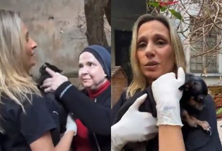 Luisa Mell é atacada por mulher da casa abandonada, resgata animal e desabafa