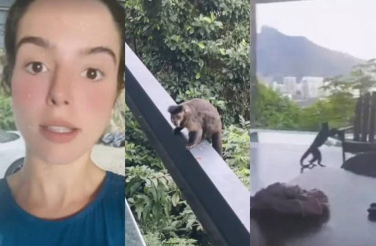 Giovanna Lancellotti mostra invasão de macacos no apartamento do namorado