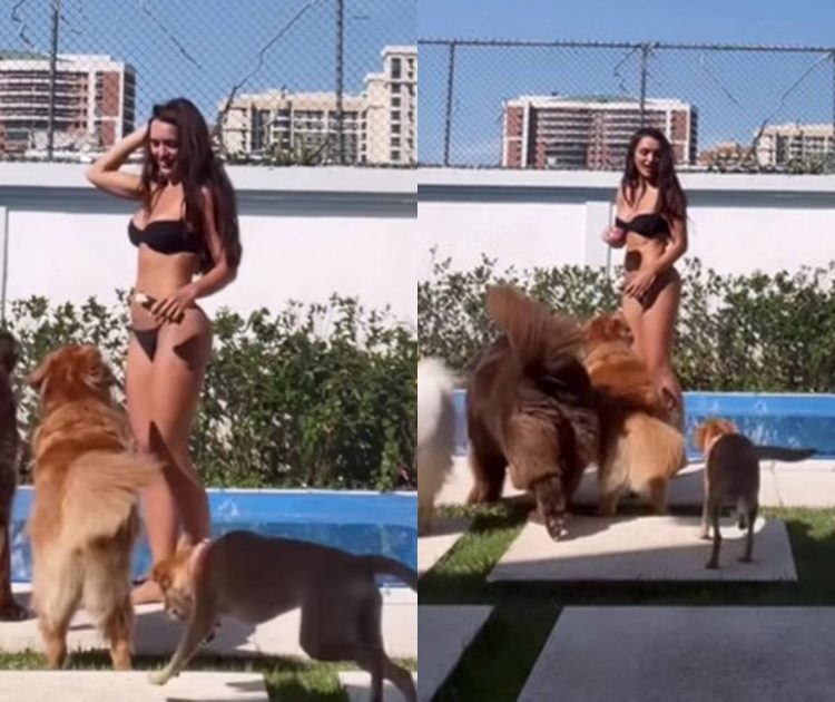 De biquíni ousado, Rafa Kalimann esbanja corpaço ao brincar com os cachorros