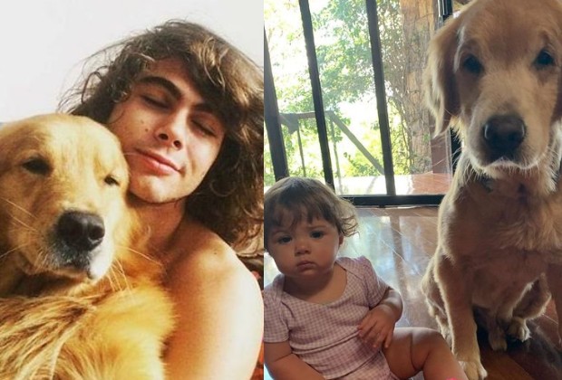 Família de Rafael Vitti desaba e lamenta morte de cachorro