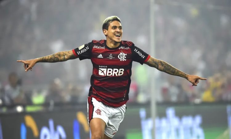 Globo coloca jogo do Flamengo para 'barrar' crescimento do SBT com Seleção  Brasileira na Copa América - ISTOÉ Independente