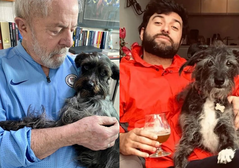 Web toma atitude envolvendo Biriba, cão de repórter da Globo, com Resistência, cadela de Lula