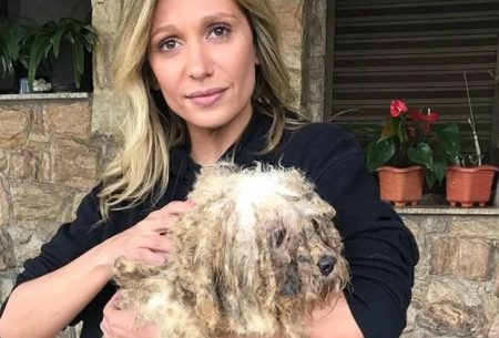 Luisa Mell solta o verbo e detona decisão da Globo envolvendo programa