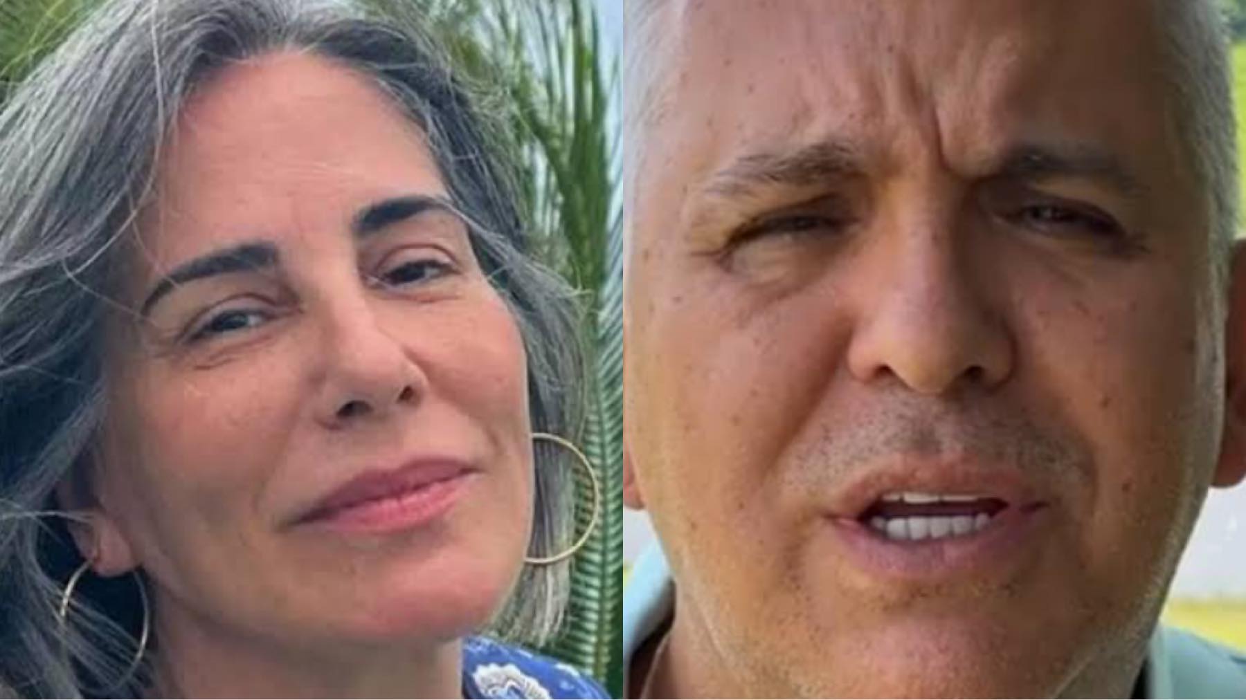 Casas de Gloria Pires e Orlando Morais são criticadas e cantor reage