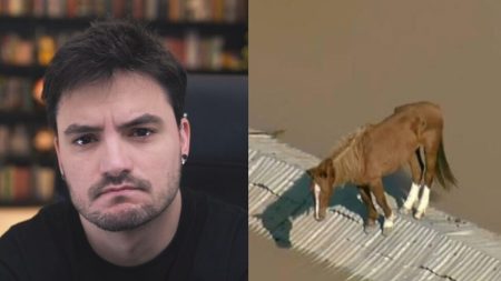 Felipe Neto conseguiu adotar o cavalo Caramelo, resgatado no RS?