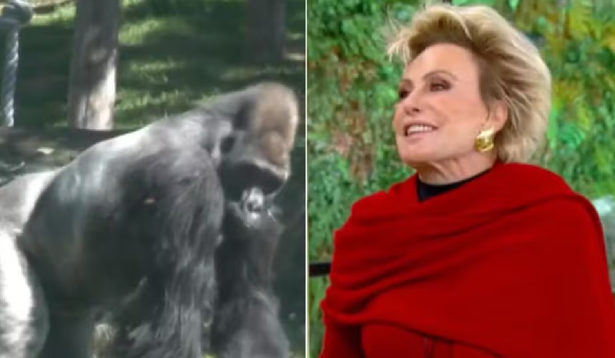 Ana Maria Braga se espanta ao descobrir o tamanho de órgão íntimo de gorila: “Só?”