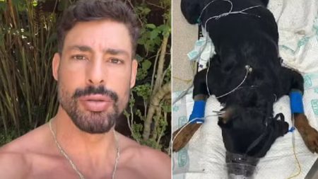 Cauã Reymond faz pedido após morte de cachorro por envenenamento: “Fiquei surpreso”