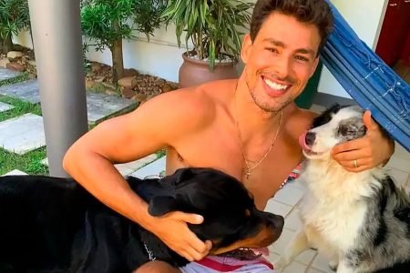 Cauã Reymond mostra como está cachorra que sobreviveu a envenenamento