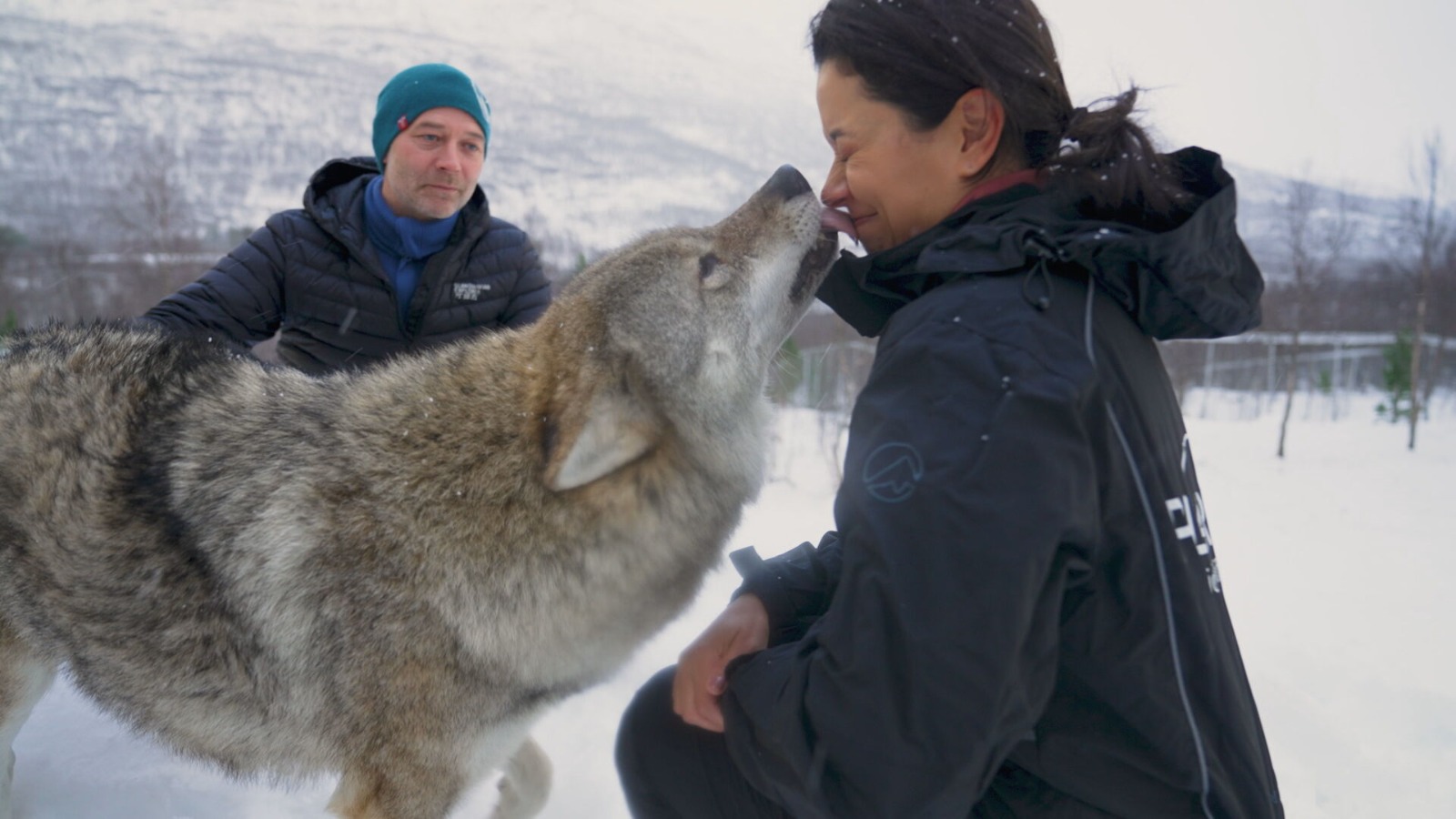 Apresentadora do CNN Viagem & Gastronomia vive experiência inédita com lobo em nova temporada