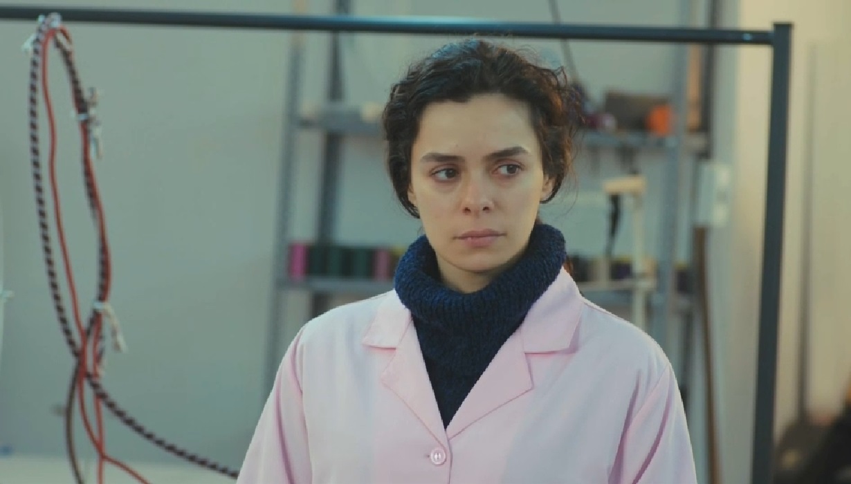 Audiência de Força de Mulher