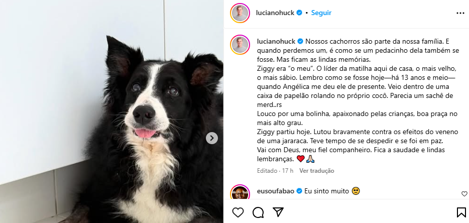 Post de Luciano Huck 